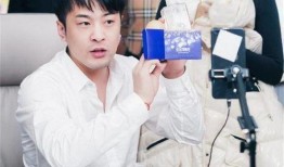 大白最新爆料停服了吗,热门游戏停服真相揭晓