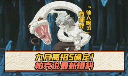 帕克最新爆料解说,最新爆料背后的真相与内幕