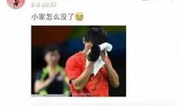 最新爆料张继科事件始末,揭秘乒乓球名将的争议漩涡与真相揭晓