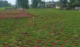 广州农庄爆料案件最新,揭开背后惊人真相