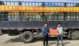 榆树今日爆料最新消息,最新动态揭秘！