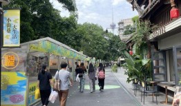 成都望平街爆料案件最新,疑云重重，真相渐明