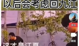 错换人28最新动态爆料,揭秘真相，正义终将到来