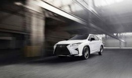 麦凯伦最新爆料,内幕细节震惊业界