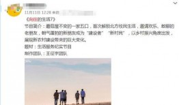 向往5最新爆料,明星们的新奇生活大揭秘！